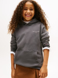 Grey Logo Regular Fleece Hoody  Kids Unisex
