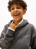 Grey Logo Regular Fleece Hoody  Kids Unisex