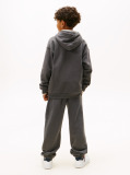 Grey Logo Regular Fleece Hoody  Kids Unisex