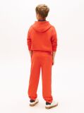 Orange Brushed Fleece Regular Joggers  Kids Unisex