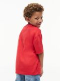 Red Peanuts® Flag Graphic Jersey T-Shirt  Kids Unisex
