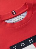 Red Peanuts® Flag Graphic Jersey T-Shirt  Kids Unisex