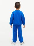 Blue Terry Sweatshirt And Joggers Set  Kids Unisex