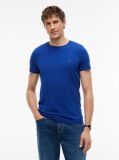 Blue Flag Embroidery Slim Fit T-Shirt  Men