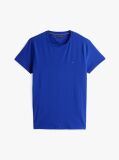 Blue Flag Embroidery Slim Fit T-Shirt  Men