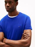 Blue Flag Embroidery Slim Fit T-Shirt  Men