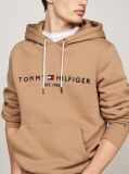 Brown Tommy Logo Hoody  Men