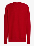 Red Boxy Crew Neck Sweatshirt  Men