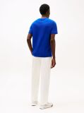 Blue Flag Embroidery T-Shirt  Men