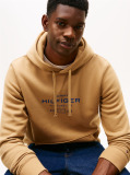 Brown Oval Graphic Hoodie  Men
