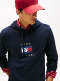 Blue Flag Graphic Drawstring Hoody  Men