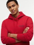 Red Back Graphic Relaxed Terry Hoody  Men