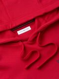 Red Back Graphic Relaxed Terry Hoody  Men