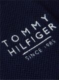 Blue Regular Fit Signature Textured Polo Shirt  Men