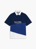Multi Relaxed Fit Back Logo Colour-Blocked Polo Shirt  Men