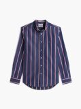 Multi Regular Fit Flex Stripe Poplin Shirt  Men