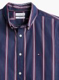 Multi Regular Fit Flex Stripe Poplin Shirt  Men