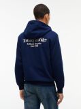 Blue Back Graphic Terry Zip-Thru Hoody  Men
