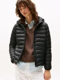 Black Padded Global Stripe Jacket  Women