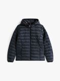 Blue Padded Global Stripe Jacket  Women
