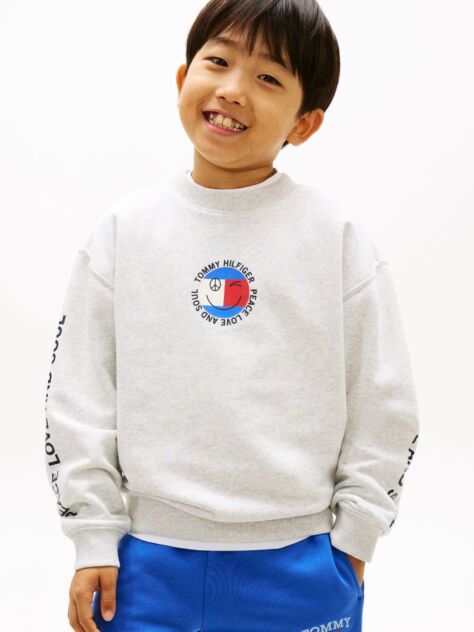 Grey Smiley Flag Back Logo Terry Sweatshirt  Boys