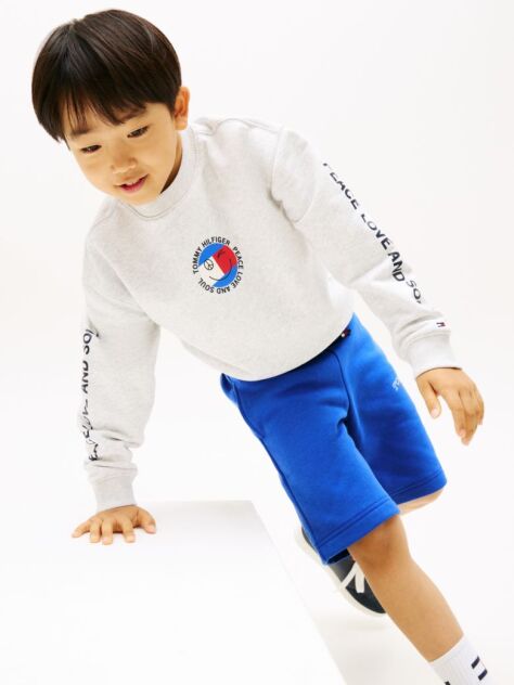 Grey Smiley Flag Back Logo Terry Sweatshirt  Boys