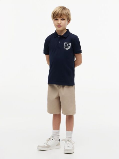 Blue Regular Fit Outline Flag Pique Polo Shirt  Boys