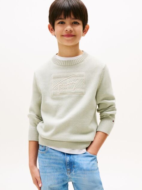 Green Signature Tonal Logo Flag Jumper  Boys