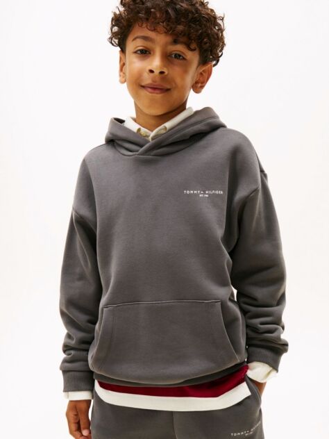 Grey Logo Regular Fleece Hoody  Kids Unisex