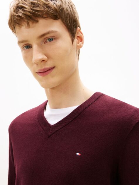 Red V-Neck Regular Fit Jumper  Men