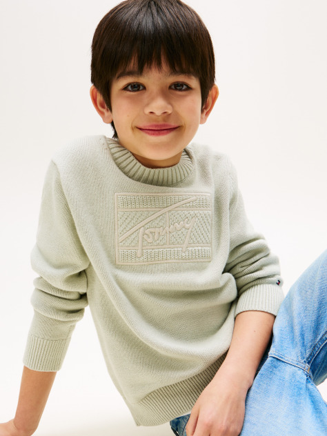 Green Signature Tonal Logo Flag Jumper  Boys
