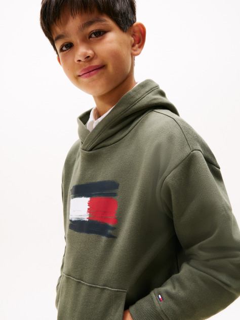 Green Hilfiger Flag Hoody  Boys