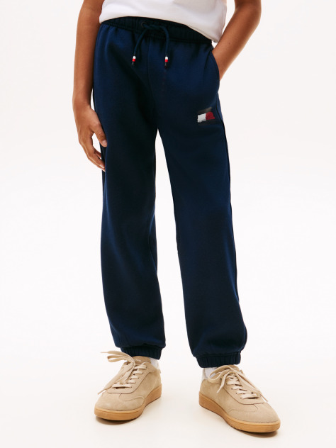 Blue Hilfiger Flag Regular Fit Joggers  Boys