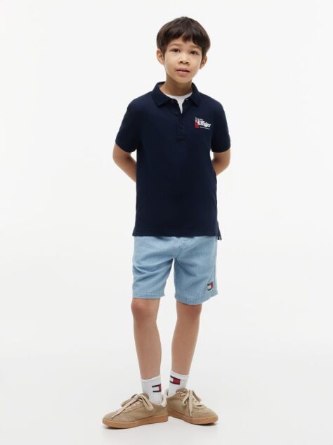 Blue Regular Fit Graphic Embroidery Polo Shirt  Boys