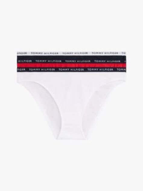 Multi 3-Pack Logo Waistband Briefs  Women