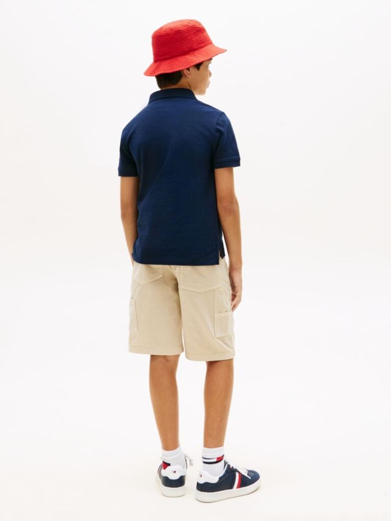 Blue Regular Fit Wavy Flag Polo Shirt  Boys