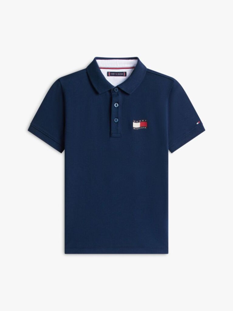 Blue Regular Fit Wavy Flag Polo Shirt  Boys