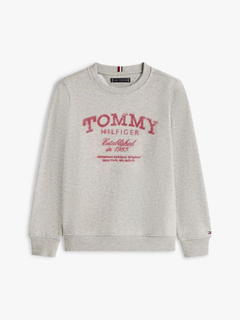 Grey Faded Logo Print Crew Neck Sweatshirt  Boys