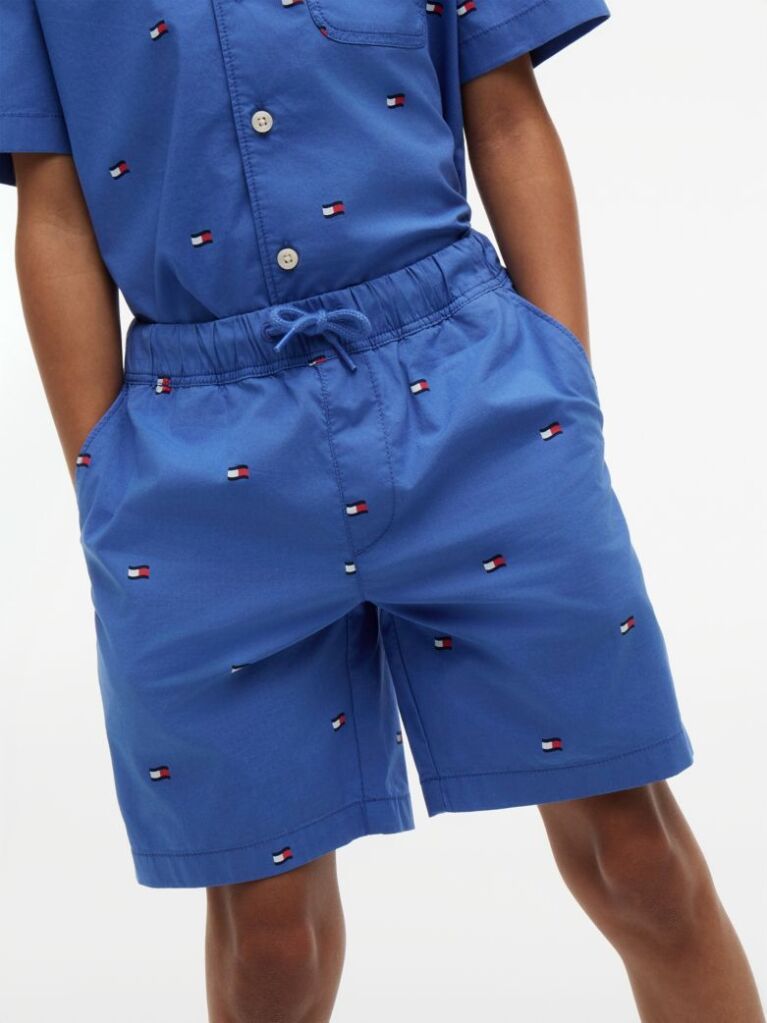 Blue Relaxed Flag Embroidery Poplin Shorts  Boys