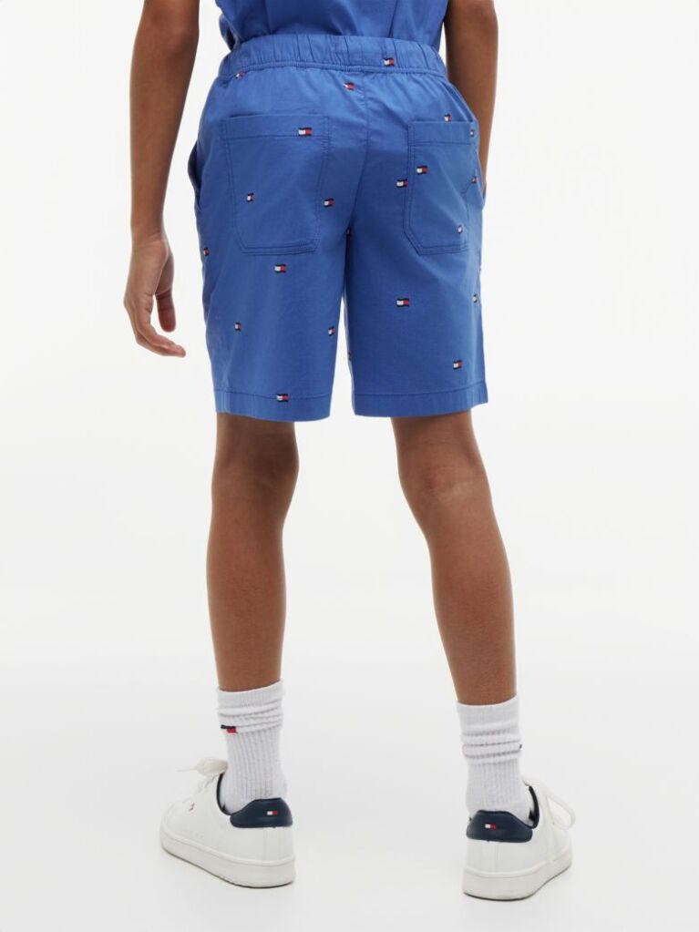 Blue Relaxed Flag Embroidery Poplin Shorts  Boys