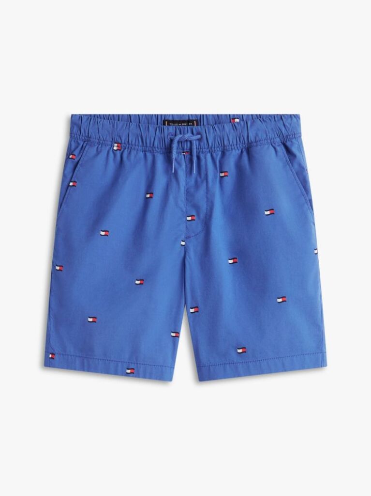 Blue Relaxed Flag Embroidery Poplin Shorts  Boys