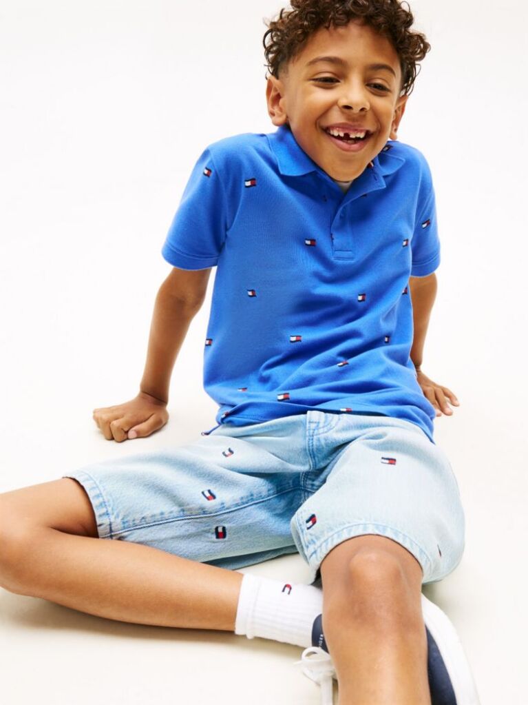 Blue Regular Fit Wavy Flag Embroidery Polo Shirt  Boys