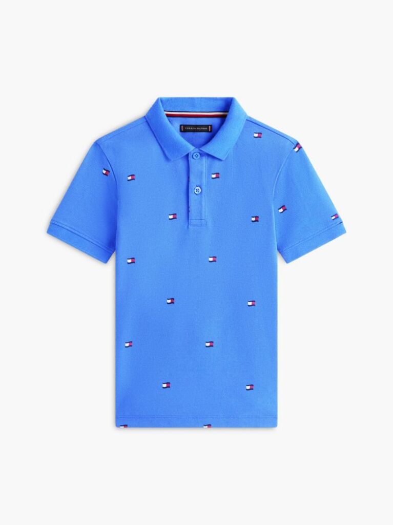 Blue Regular Fit Wavy Flag Embroidery Polo Shirt  Boys