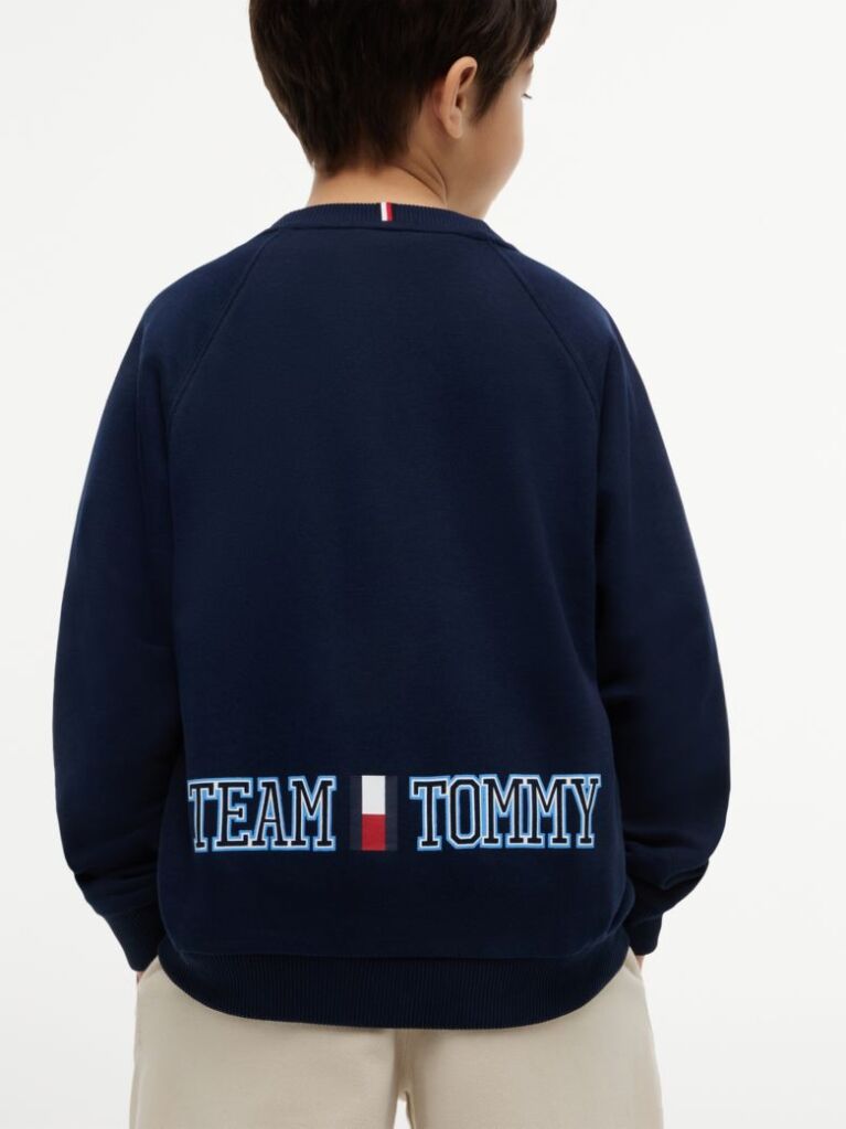 Blue Flag Embroidery Exaggerated Seam Jumper  Boys