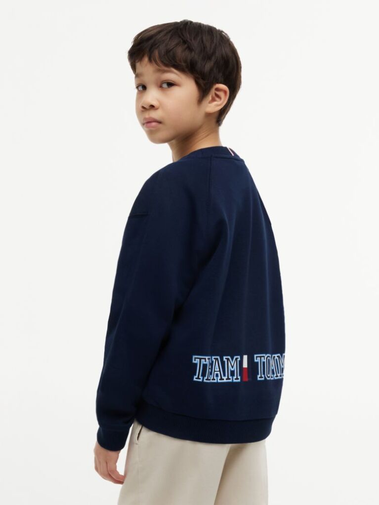 Blue Flag Embroidery Exaggerated Seam Jumper  Boys