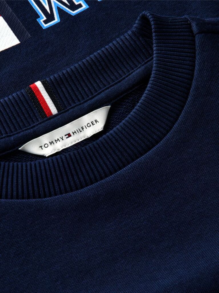 Blue Flag Embroidery Exaggerated Seam Jumper  Boys