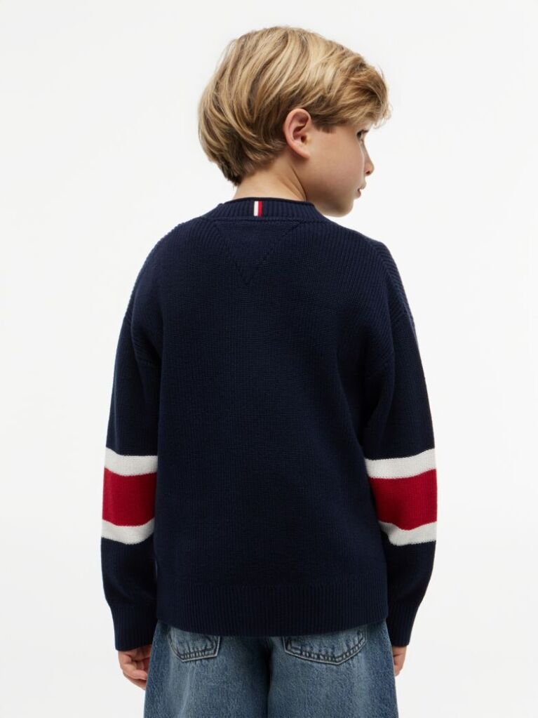Blue Logo Graphic Jumper  Boys