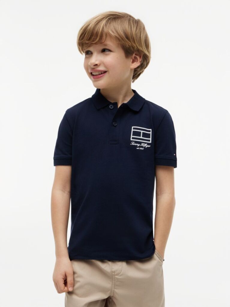Blue Regular Fit Outline Flag Pique Polo Shirt  Boys