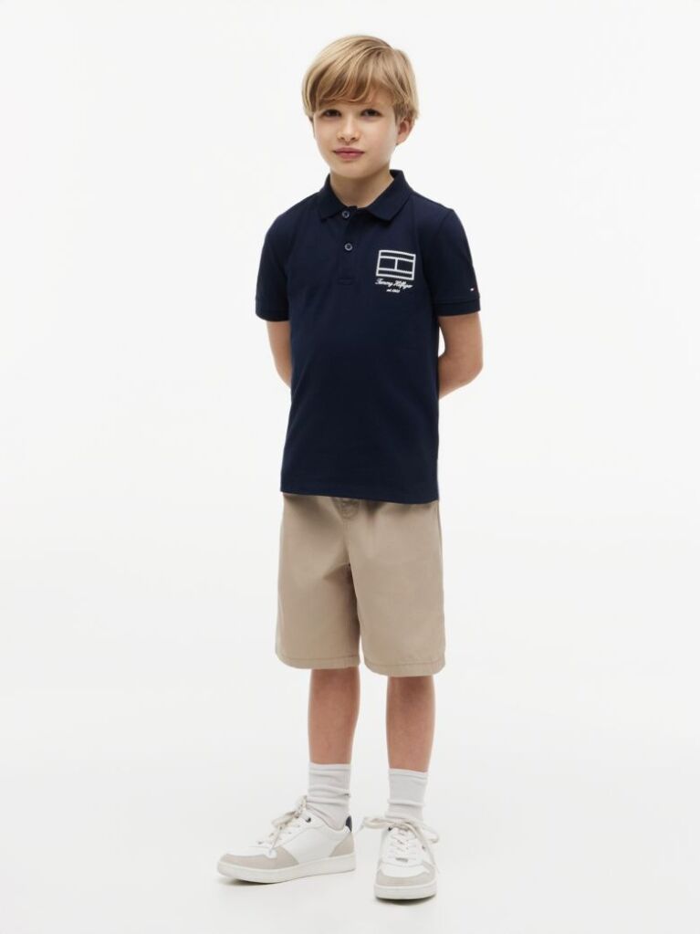 Blue Regular Fit Outline Flag Pique Polo Shirt  Boys