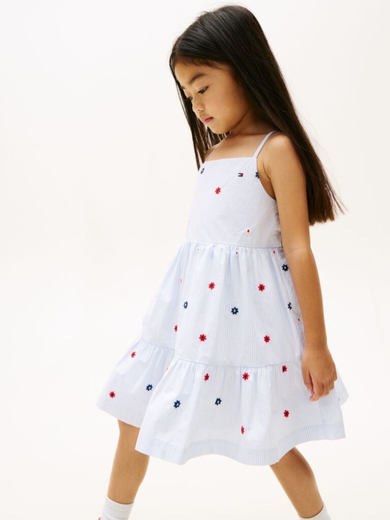 Multi Floral Embroidery Stripe Fit And Flare Dress  Girls
